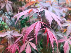 -老北京风情街
