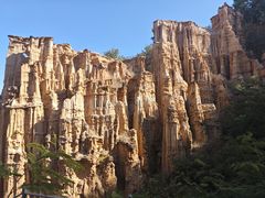 -元谋土林景区(物茂土林)