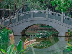 -人民公园(罗湖区)