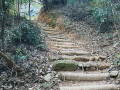 -马峦山郊野公园