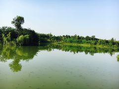 -白鹭湾湿地公园