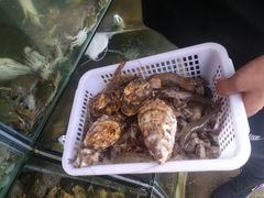 -海岸风情蒸汽海鲜自助餐厅(家宴金手勺店)