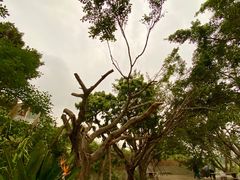 -悦哉·派对·草坪婚礼·围炉煮茶(三圣乡店)
