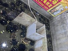 -龟场私房菜