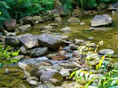 -广州白江湖森林公园