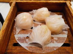 -金翠皇宫粤菜·点心·海鲜(科技园店)