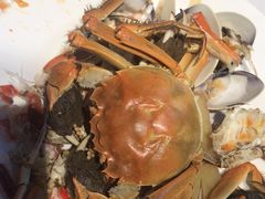 -领鲜活海鲜榴莲自助火锅(东门店)