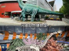 -河南自然博物馆