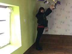 -金山农民画村-枫泾波兰倒置屋
