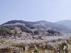 -福建天门山