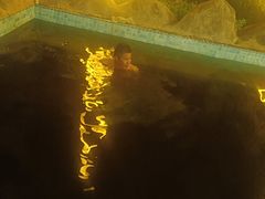 -三亚湾红树林度假世界(木棉酒店)