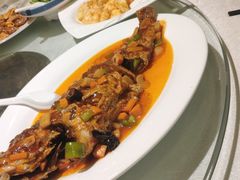 -燕春楼(海河华鼎店)