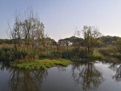 -西湖风景区-江洋畈生态公园