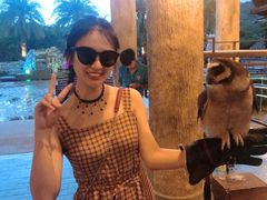 -清迈夜间动物园