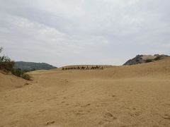 -玉龙沙湖景区