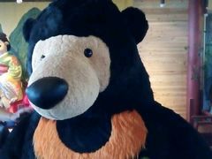 -济州岛泰迪熊博物馆