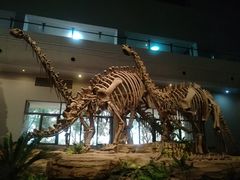 -自贡恐龙博物馆