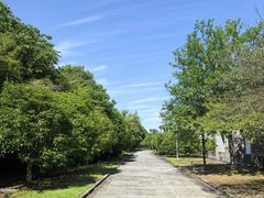 -金钉子远古世界景区