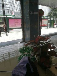 -清颜专业祛痘连锁店