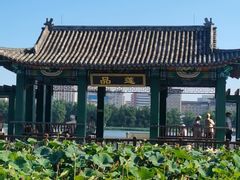 -莲花池公园