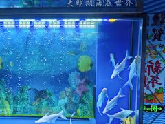 -大明湖海底世界