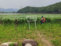 -东钱湖旅游度假区