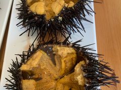 -海胆小馆(东北水饺·春柳店)