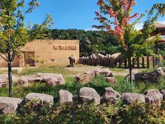 -沈阳森林动物园