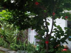 -瑞丰园庭院餐厅·白族传统家常菜
