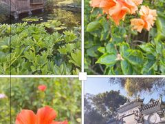 -深圳国际园林花卉博览园