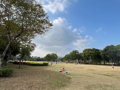 -顺峰山公园