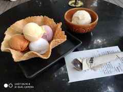冰淇淋五拼-莓园冰淇淋店