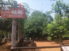 -海南热带野生动植物园