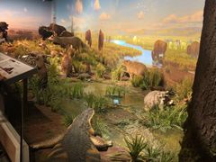 -陕西自然博物馆