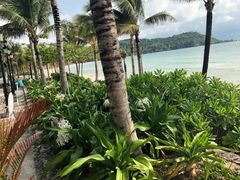 -富国岛翡翠湾 JW 万豪度假酒店