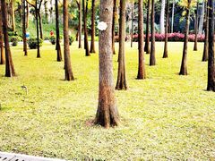 -晓港公园