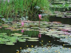 -国家植物园南园