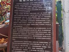 -西双版纳原始森林公园