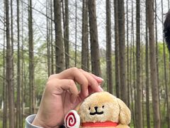 -宜兴龙背山森林公园