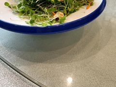 -邵年鸽(杨庄店)
