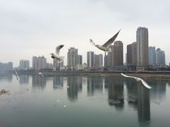 -绵阳人民公园(涪城区)