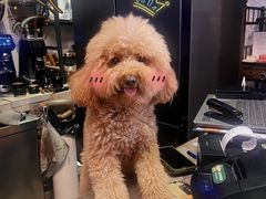 -漫笙舍Manse·咖啡·民宿