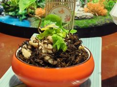 -熙春园餐厅