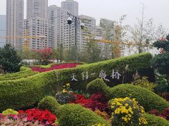 -重庆市江北嘴中央商务区中央公园