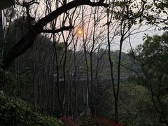 -福道
