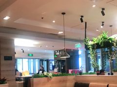 大堂-比格比萨自助(宋家庄店)