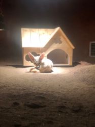 -酷嗒动物文化乐园(cutezoo西溪乐天城店)