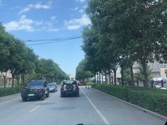 -特克斯八卦城
