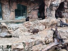 -珠海长隆海洋王国