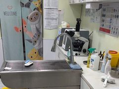 -艾吉宠物医院·疑难杂症转诊中心·猫友好(碧江路院)